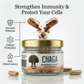 Chaga Functional Mushroom Extract