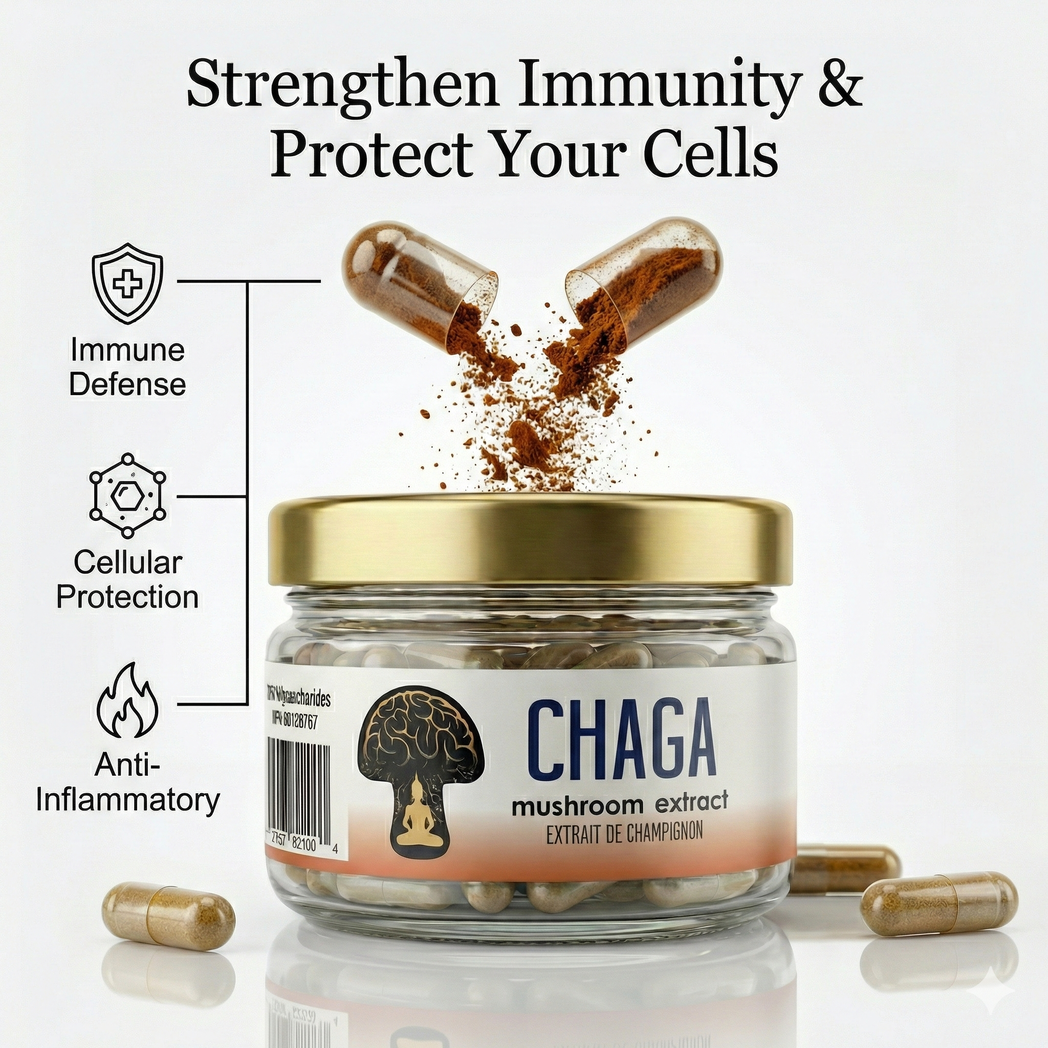 Chaga Functional Mushroom Extract