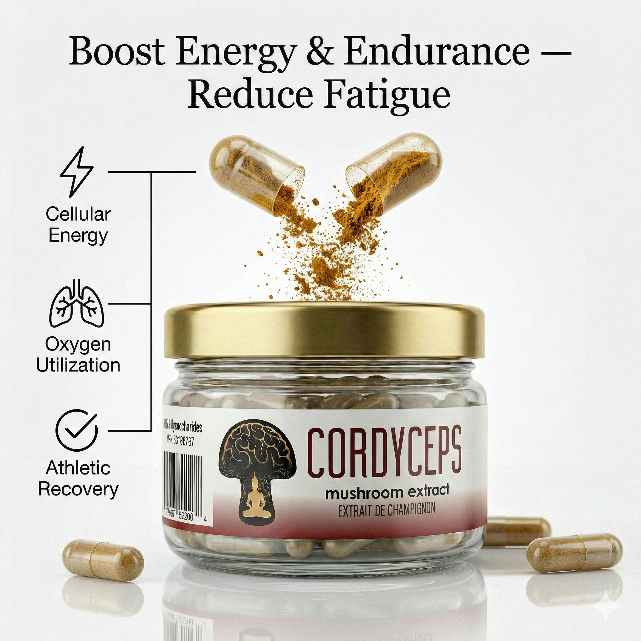 Cordyceps Functional Mushroom Extract